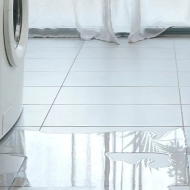 Appliance Leak Cleanup in Duval County, TX