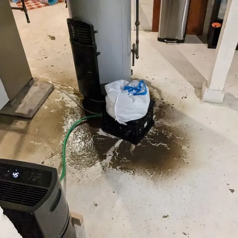 Sewage Backup Cleanup Service in Duval County, TX